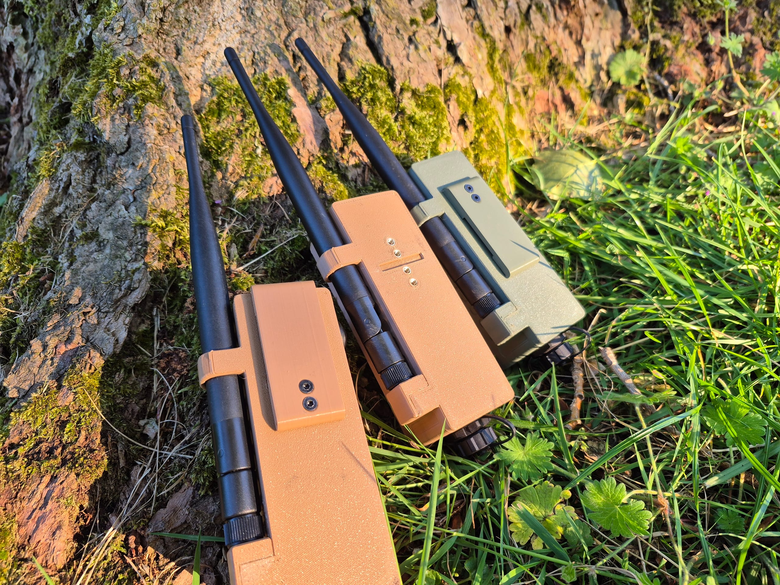 Three RBaken devices upright with antennas at base of a mossy tree